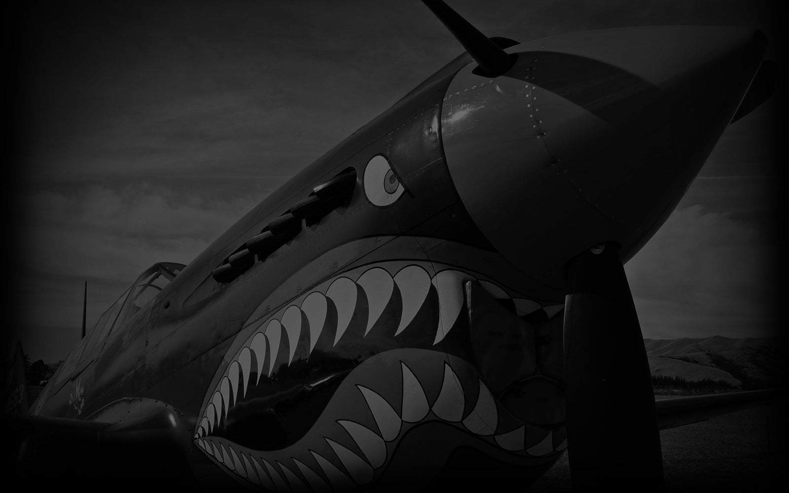 The Flying Tigers