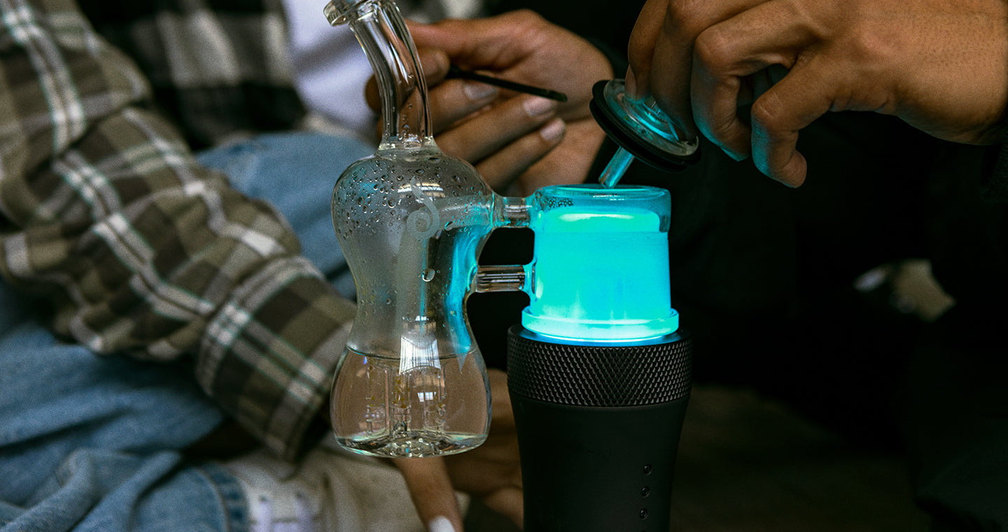 7 Flower Strains You Need to Try in the SWITCH