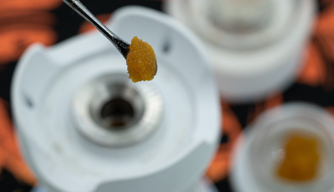 Dr. Dabber Interviews the 