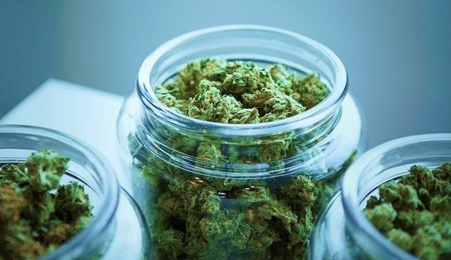 What You Need to Know About Different Cannabinoids