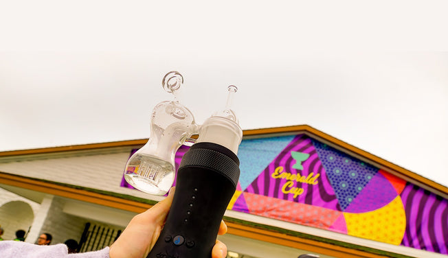 Thousands Flocked to Northern California for the 15th Annual Emerald Cup