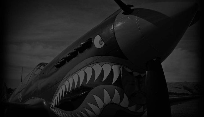 The Flying Tigers